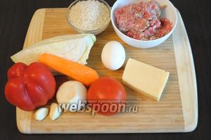 Для приготовления запеканки подготовить продукты: фарш, капусту, морковь, лук, яйцо, рис, чеснок, сыр, соль, перец, подсолнечное масло