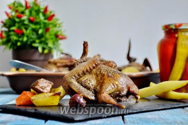 Фото Дикие голуби с картофелем и грибами