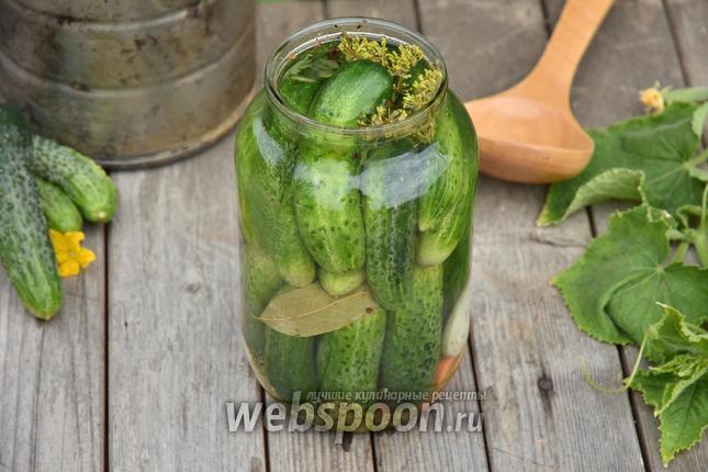 Фото Маринованные огурцы по-болгарски