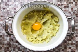 Готовый картофель разомните в пюре, немного остудите. Затем добавьте 1 яйцо и 1 чайную ложку соли, перемешайте до однородности.