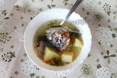 Набор суповой куриный: что приготовить – 88 рецептов