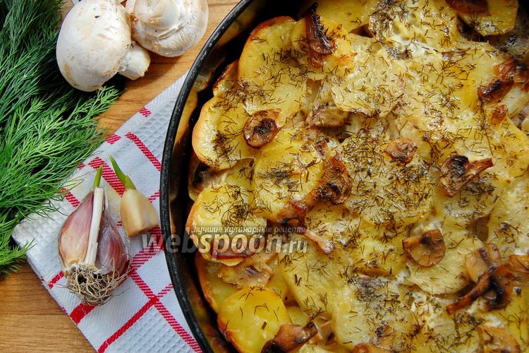 Как приготовить картошку с шампиньонами в духовке со сметаной – пошаговый рецепт с фото