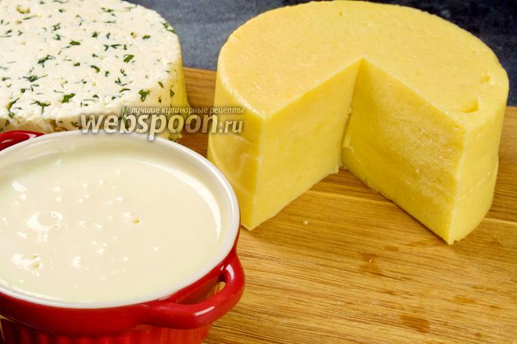 Быстрый домашний сыр из молока без специальных ферментов