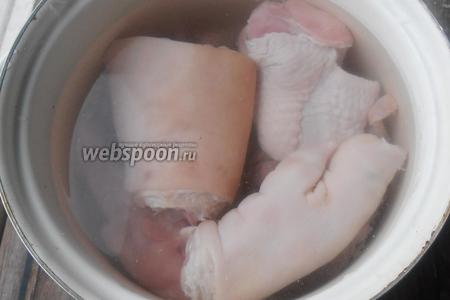 Как приготовить сальтисон из свиной головы в марле в домашних условиях