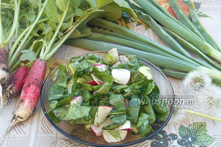 Фото рецепта Салат из редиски и щавеля