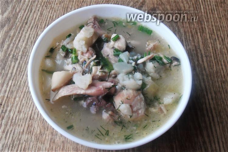 Фото Кето суп с уткой, курицей и грибами