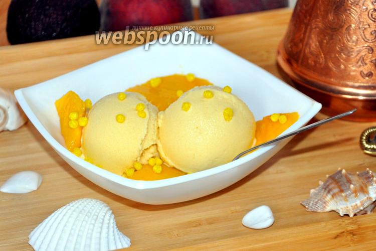 Фото Йогуртовое мороженое с фруктовым пюре