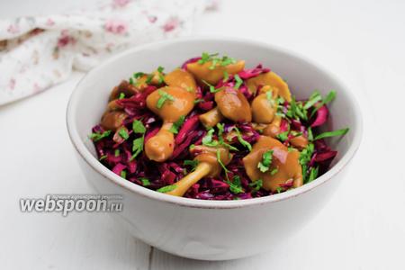 Салат из красной капусты с уксусом рецепт – Русская кухня: Салаты. «Еда»