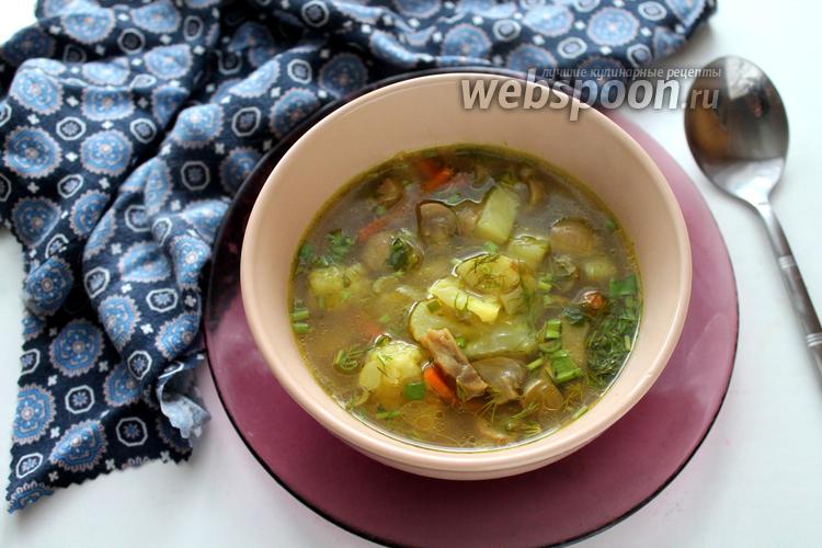 Фото Грибной суп из шампиньонов с цветной капустой
